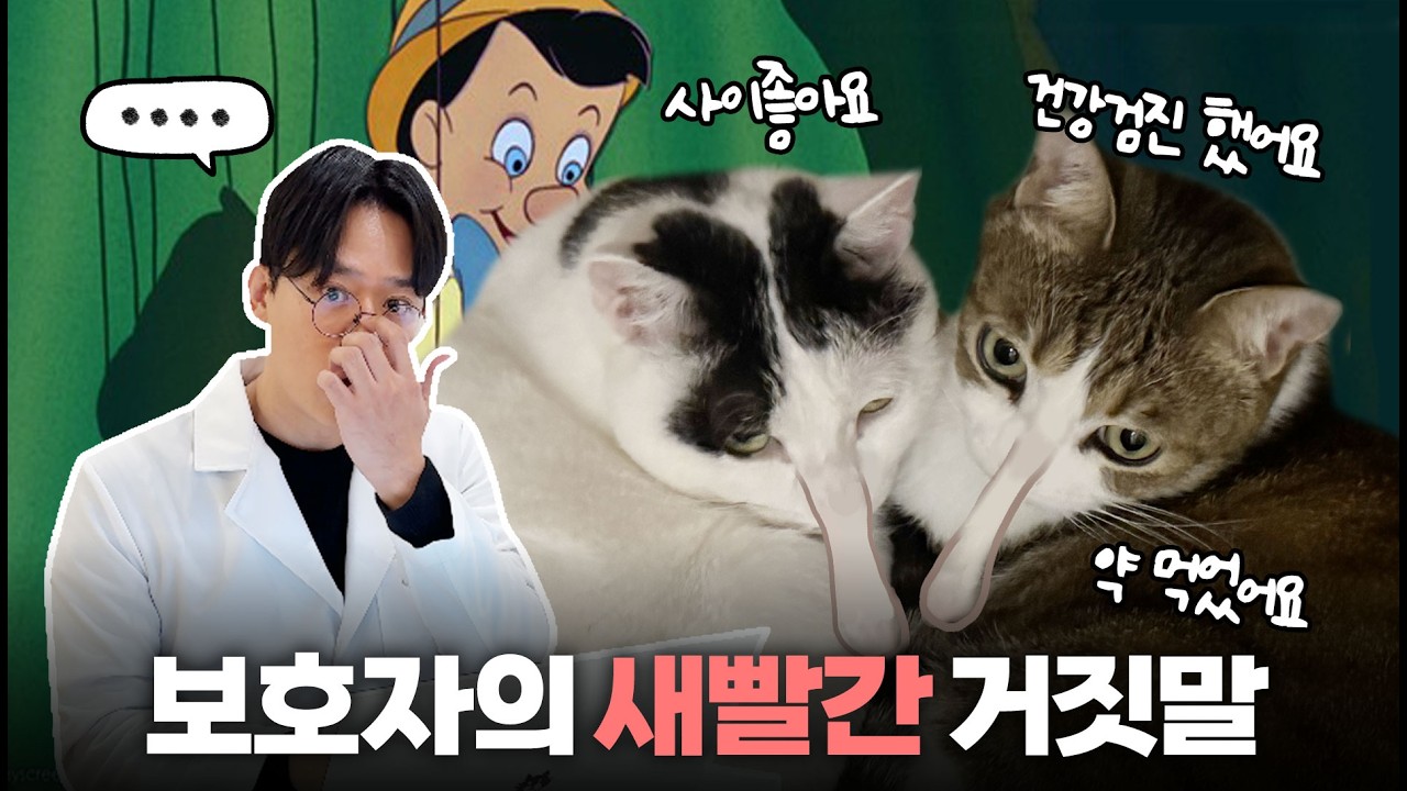 진료실에서 수의사에게 거짓말하는 보호자의 심리