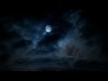 Peter Gabriel - Full Moon Update Nov 11