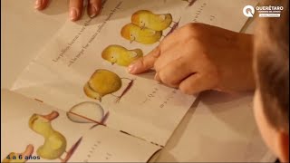 👀📚 “Tiempo de leer: Descripción de imágenes” | Actividad Infantil de Lectura