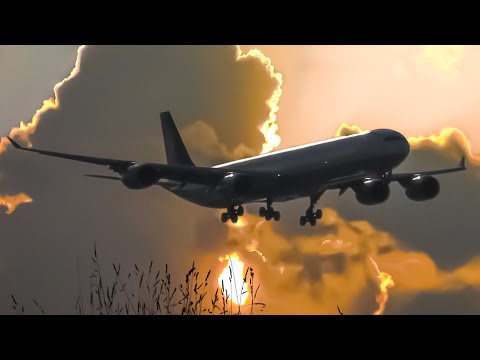๐บ๐ธ Rush Hour at CHICAGO O'HARE AIRPORT ! Plane Spotting - Multiple Runways / LOTS OF PLANES