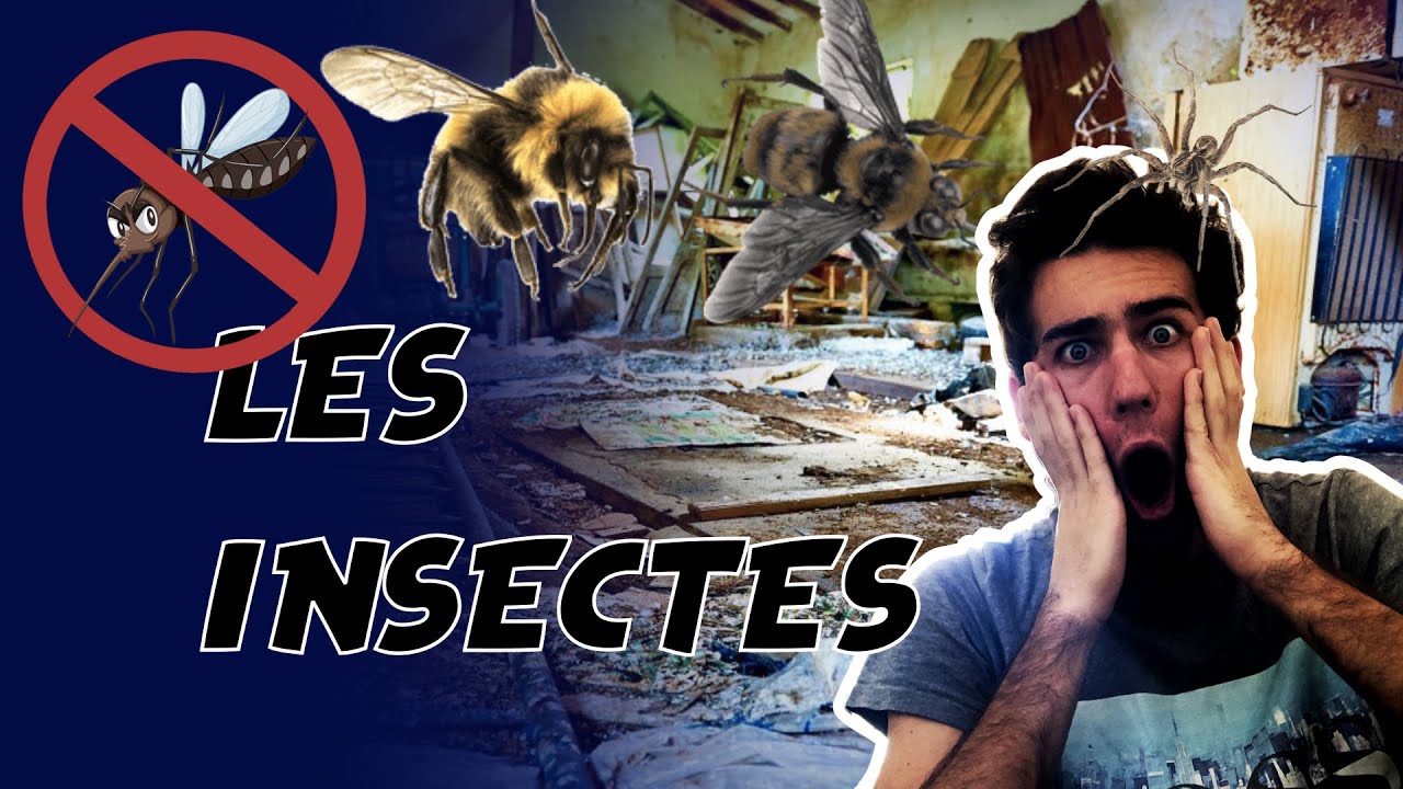 LES INSECTES - GUILLAUME CL