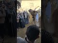 ارخص الجمال في سوق برقاش