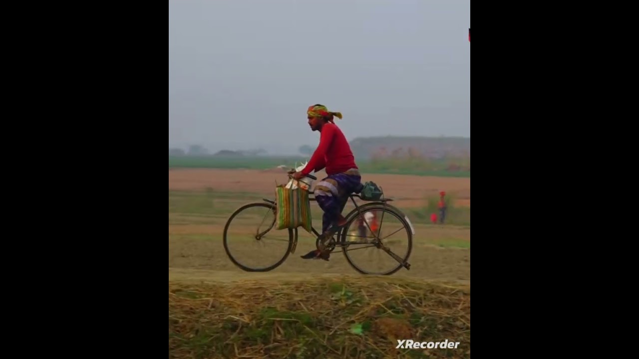 সরিষা ক্ষেতের  অপরূপ সৌন্দর্য। The incredible beauty of the mustard field.