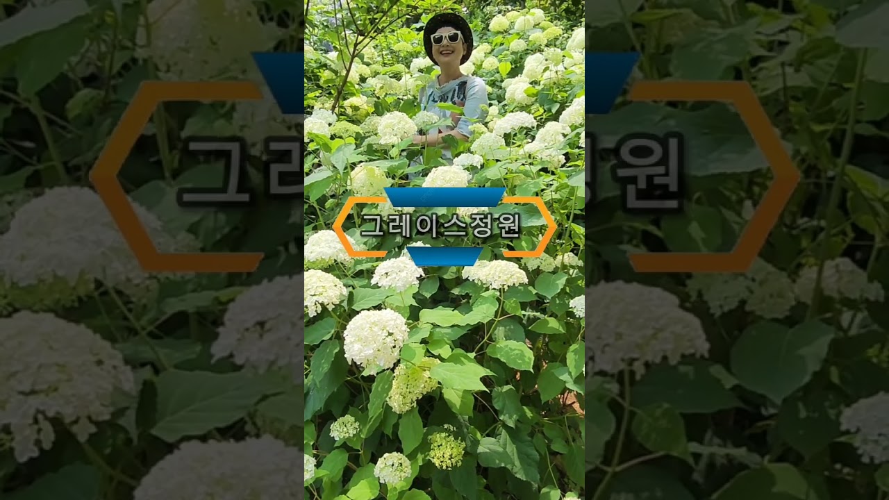 비밀의 화원 그레이스정원 #고성가볼만한곳 #고성그레이스정원 #6월에꼭가봐야할여행지