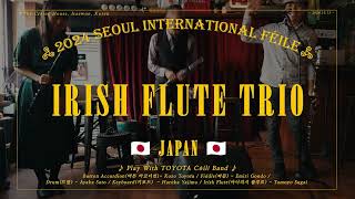 アイルランド音楽紀行 アイルランド音楽紀行 Amazon.co.jp: アイルランド音楽紀行