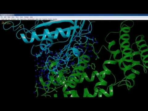 BioLuminate - Toggle Table