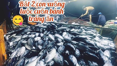 Mừng Quá, Đàn Cá Ngừ Khủng Mê Đèn | Đánh Cá 2025 - Tập 41 | Sóng Biển Hứa Đông