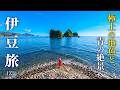 【伊豆一周】絶景・温泉・極上グルメを心ゆくまで満喫する旅🚙(静岡観光/モデルコース)