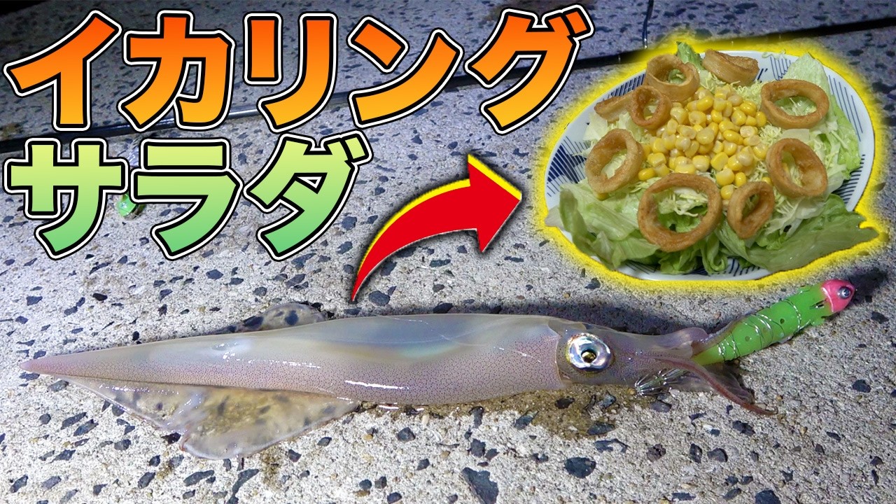 釣れたイカを使ってイカリングサラダを作ってみた！！