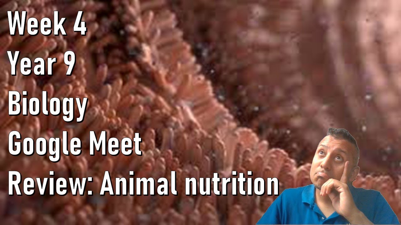 Y9 Biology Google Meet Week 4 05 April 2020