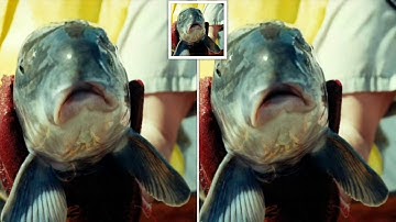 Endangered Entreaty: Cui-Ui Sing "Amazing Grace"