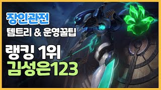 시즌11 천상계 카밀 랭킹 1위 김성은123ㅣ템트리 라인전 딜교방법 운영ㅣ장인유저 관전ㅣ착취