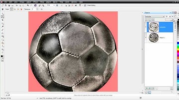CorelDRAW X6 for Beginners Applying Adjustments and Effects in Corel PhotoPaint
