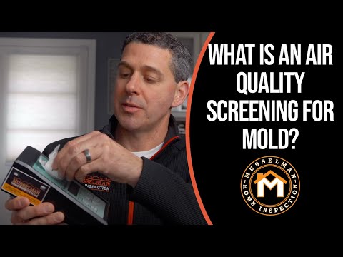 Testing for Mold in your Home (Air Quality Screening for Mold)