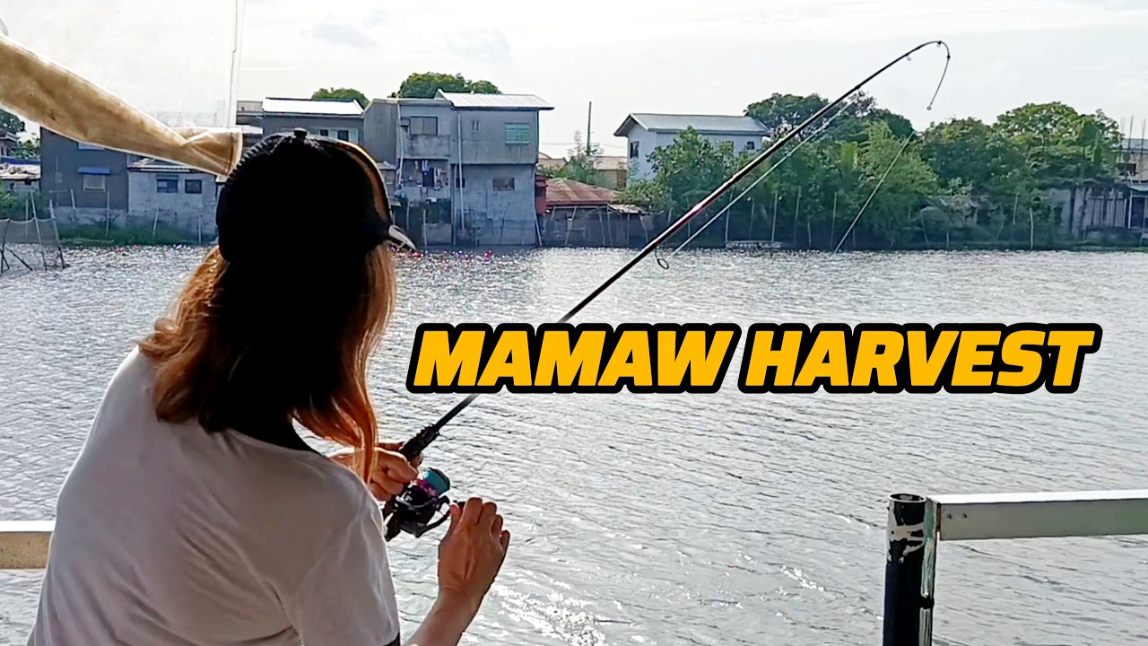 Nadiskubre namin ang isang spot na punung-puno ng mamaw na Bangus!