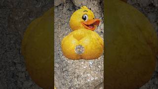 Hidden Leak 7 Litres an hour! Lets get it! #originalleakdetective #shorts #plumbing