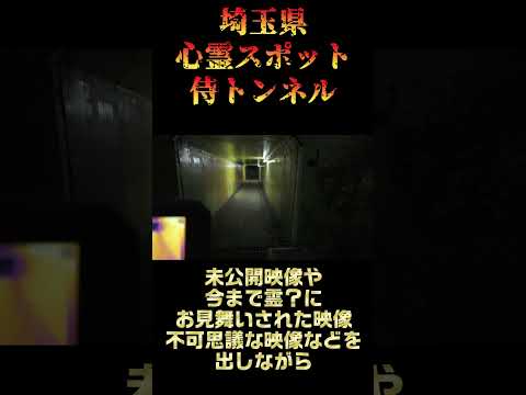 埼玉県心霊スポット『侍トンネル』 #心霊スポット #オカルト
