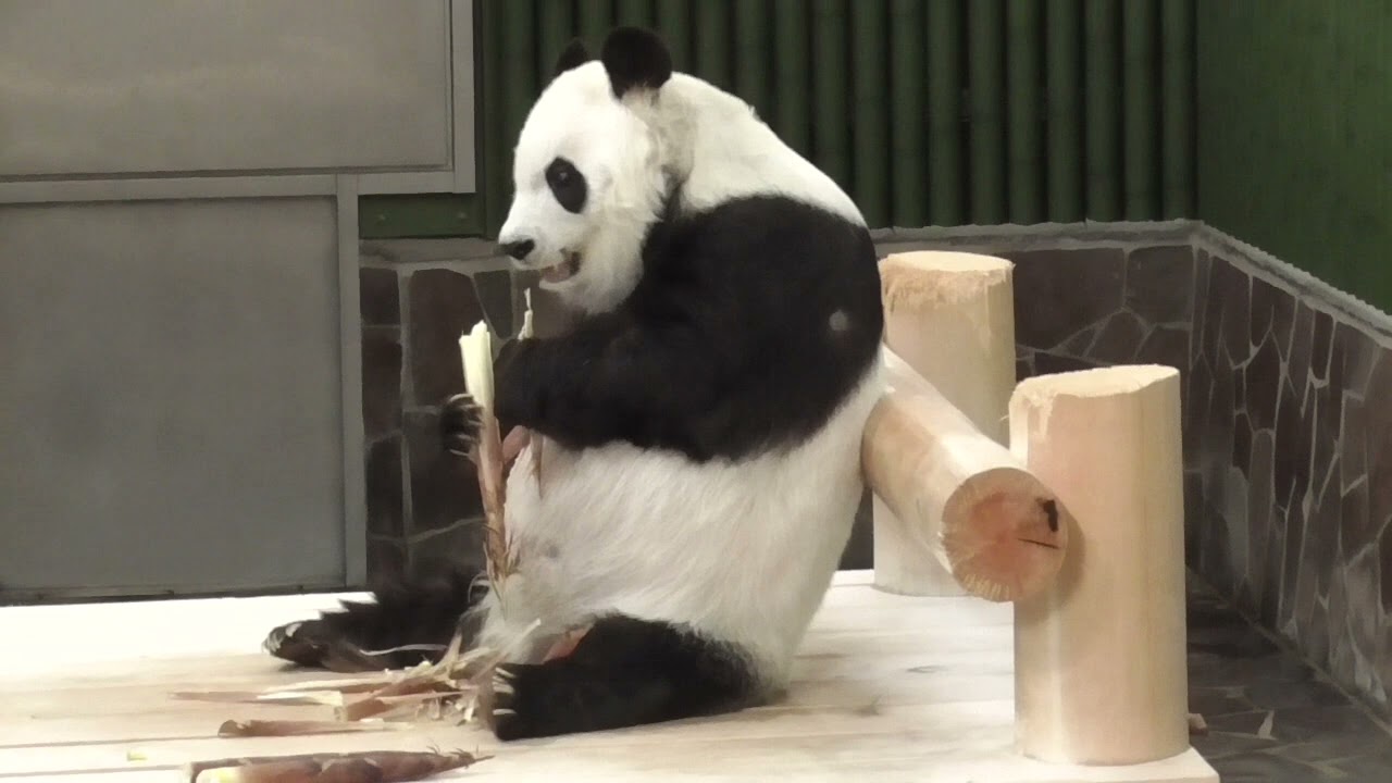 もたれながら食べるのも久しぶり