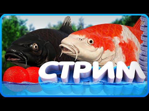 Видео: РР4 СТРИМ • Рыбалка на Медном озере и поиск точек с Карпами КОИ!