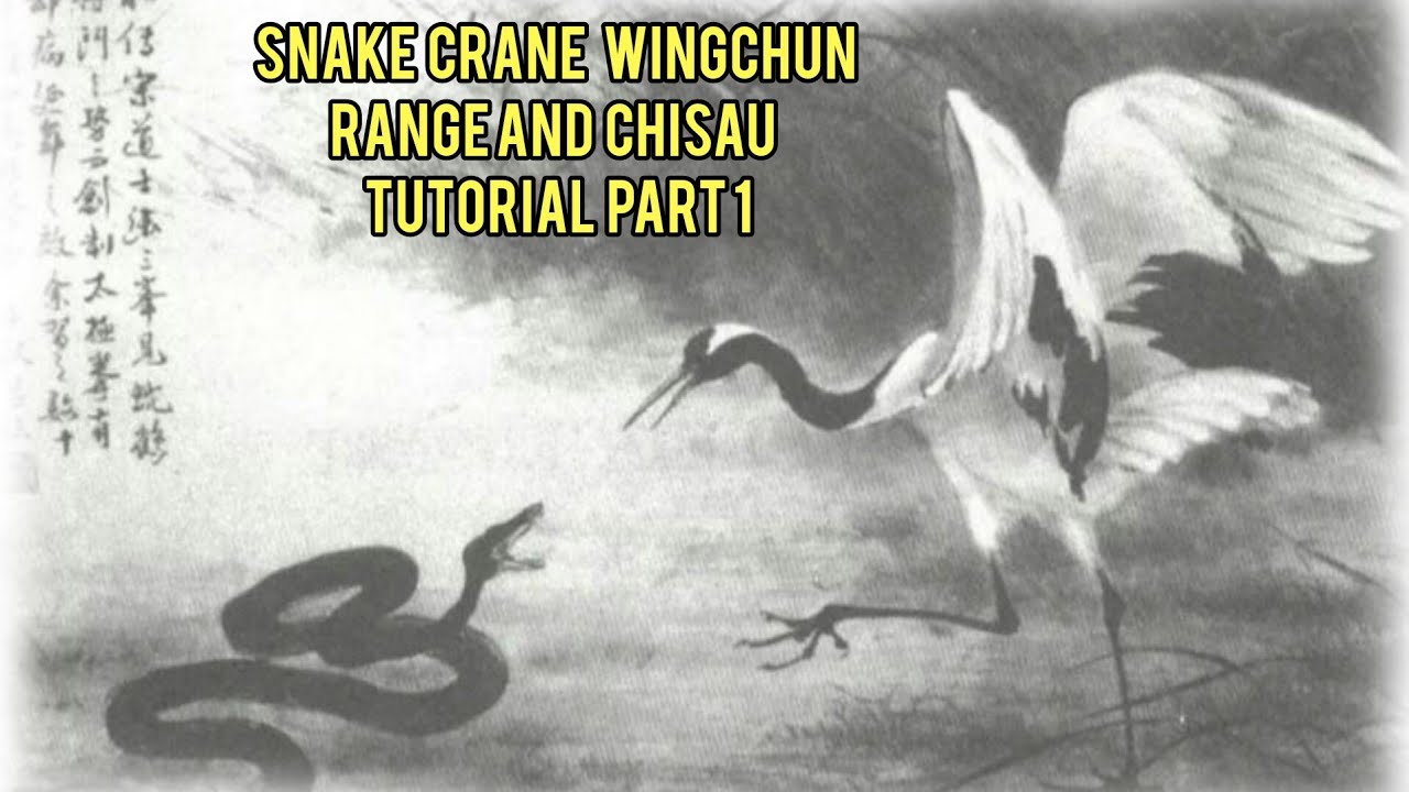 Snake crane wingchun Chisao  and distance tutorial - Part 1