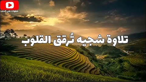 تلاوة حجازيه شجيه تُرقق القلوب ||إن أنزلنا إليك الكتاب بالحق لتحكم بين الناس || غذاء الروح