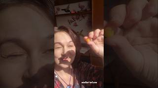 I create sunshine raspberry earrings from baking polymerclay