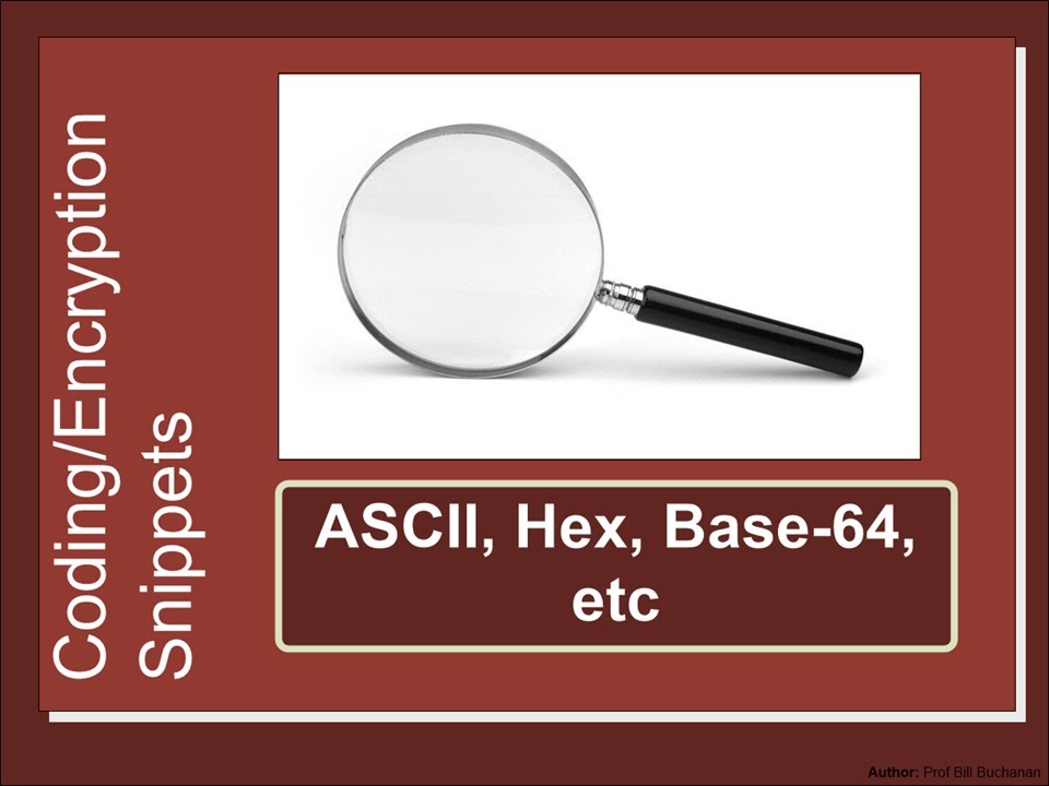 Ascii, Hex, Base-64, Binary, And So On.