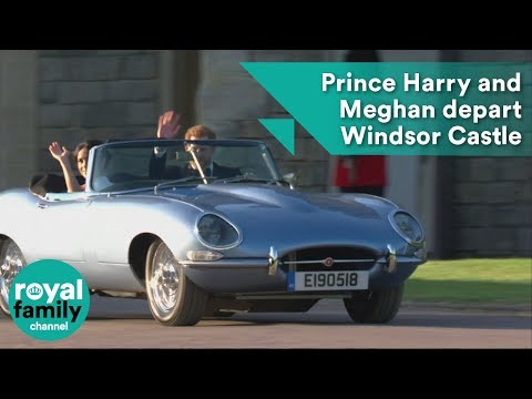 Video: Princ Harry I Meghan Markle Udomljuju Labradora