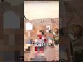 This Roblox game is only made for Dexter Sigmas#Dexterroblox#roblox #newgameinroblox