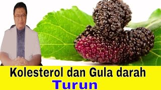 7 Manfaat buah murbei untuk kesehatan