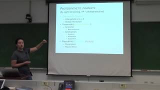 Lecture4: Phytoplankton – pigments, photo-adaptation, and taxonomy (Part 2)