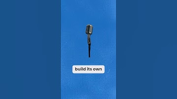 Building Trust Through Consistent, Meaningful Content. #shorts #cameraconfidence #branding