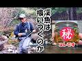 渓流釣り【餌釣り】エタノールに漬けて保存した川虫で釣ってみた!【実験】