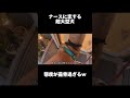 【超大型犬】病院のナースが大好き過ぎた結果 #shrots