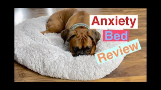 Is an Anxiety Bed right for your dog?