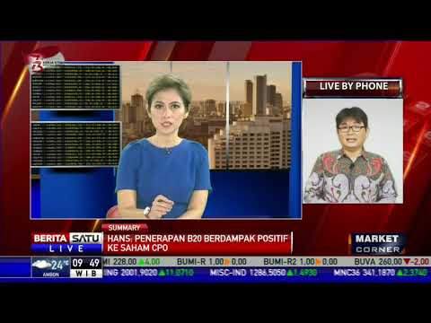Dialog Market Corner: Melirik Potensi Saham CPO