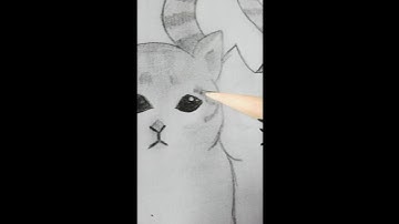 Cute Cat Couple Pencil Sketch 🐱❤️#catdrawing #cutecats #easydrawing #cats