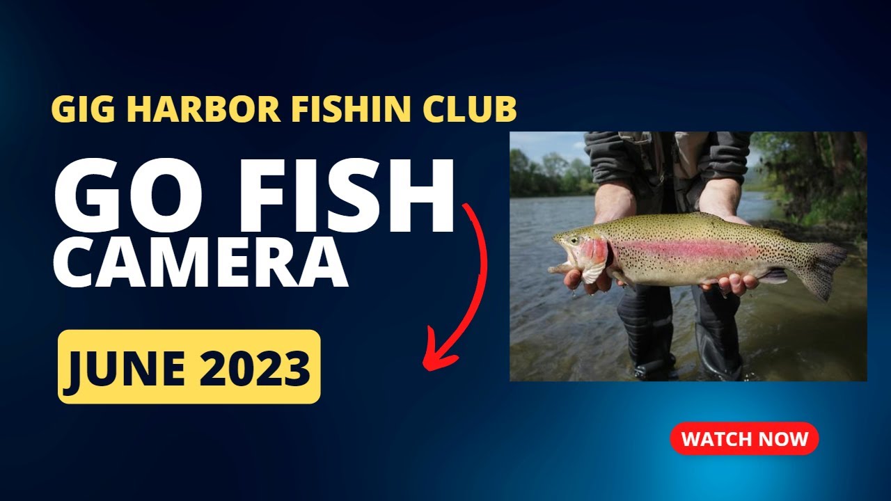 Go Fish Camera - YouTube