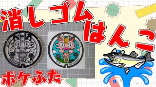 全国のポケふた　消しゴムはんこ化計画【朝活/消しゴムはんこ/作業/雑談】【佐賀県　佐賀市/ニャース】【薬剤師/ハエトリグモ】 #ねこじゃ消しはん #ハンドメイド #消しゴムはんこ