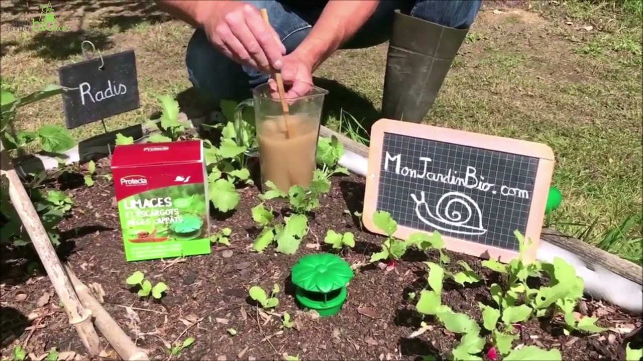 Windhager Slug-Away – Piège à Limaces Efficace à La Bière, Compact Et Sans Poison Pour Un Jardin Sain