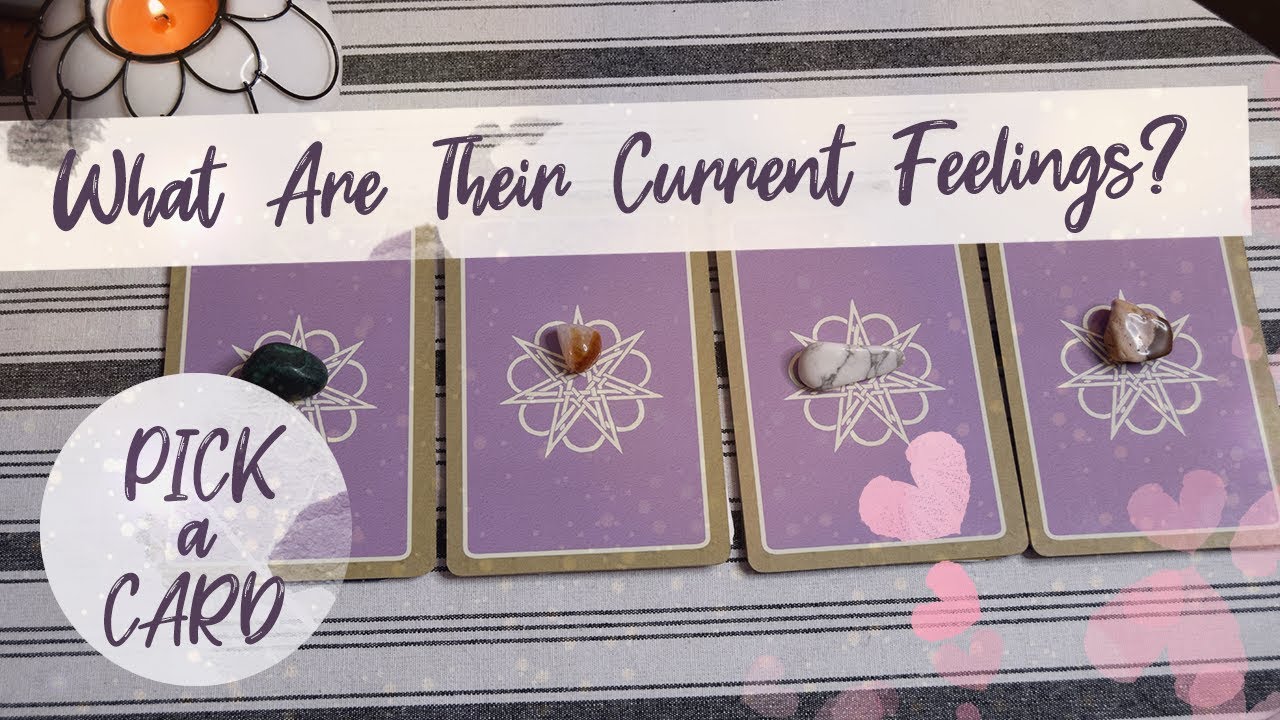 How Do They Currently Feel? | PICK A CARD | Timeless Tarot