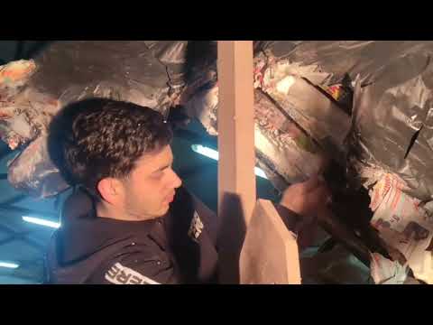 Carnevale a Palmi, il carro allegorico dell'Associazione "Calabria Eventi Sound"