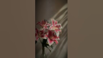سورة إبراهيم | اية 39-41 🤍.•القارئ  #المنشاوي #قرآن #سورة_إبراهيم #سورة_ابراهيم #quran #قران_كريم