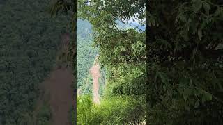 Madhmaheshwar Trek: Heaven in Uttarakhand✨#Madhmaheshwar #MadmaheshwarTrek #PanchKedar #Uttarakhand