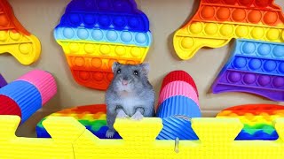 🐊 CROCODILE - DIY Hamster Maze with Traps Compilation🐹
