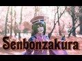 【Saya Scarlet】千本桜 ☆ Senbonzakura 【踊ってみた】