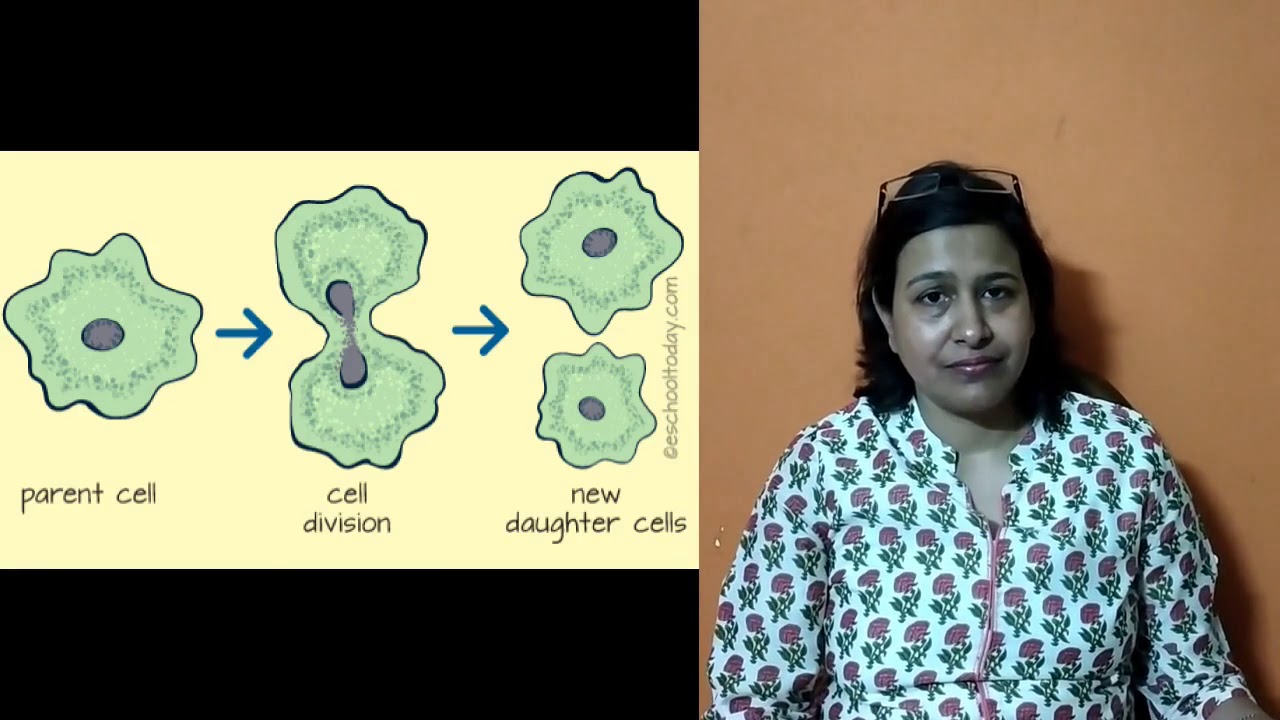 LSA LIVE Class XII Biology