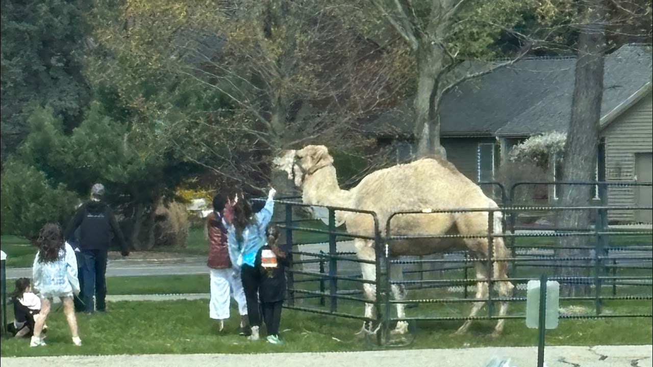 playing my 'lifetime' minecraft world everyday until I'm married