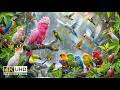 Amazon Jungle Birds | Colorful Birds & Nature Sounds🦜🦩🌊🌈 | Untamed Nature