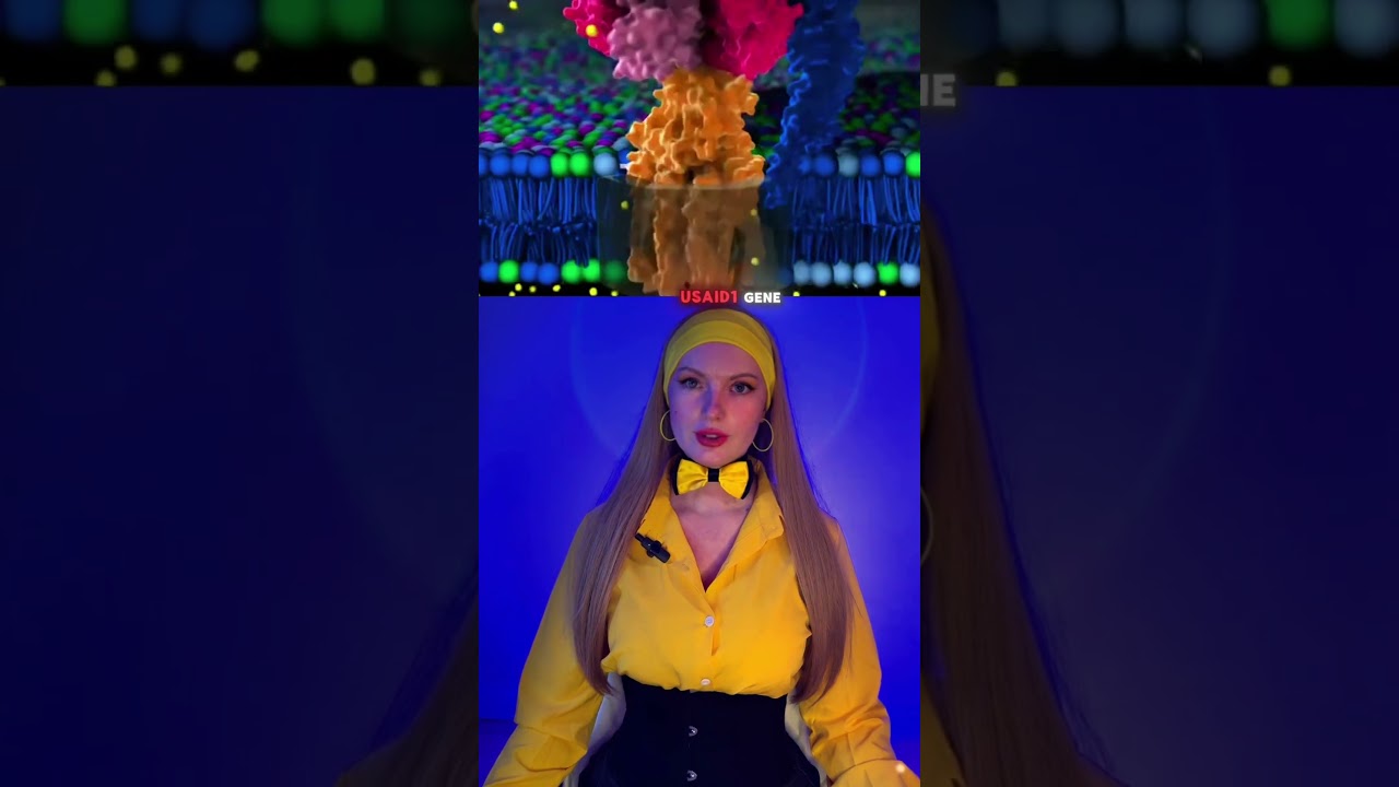 Tooth growth throughout life 